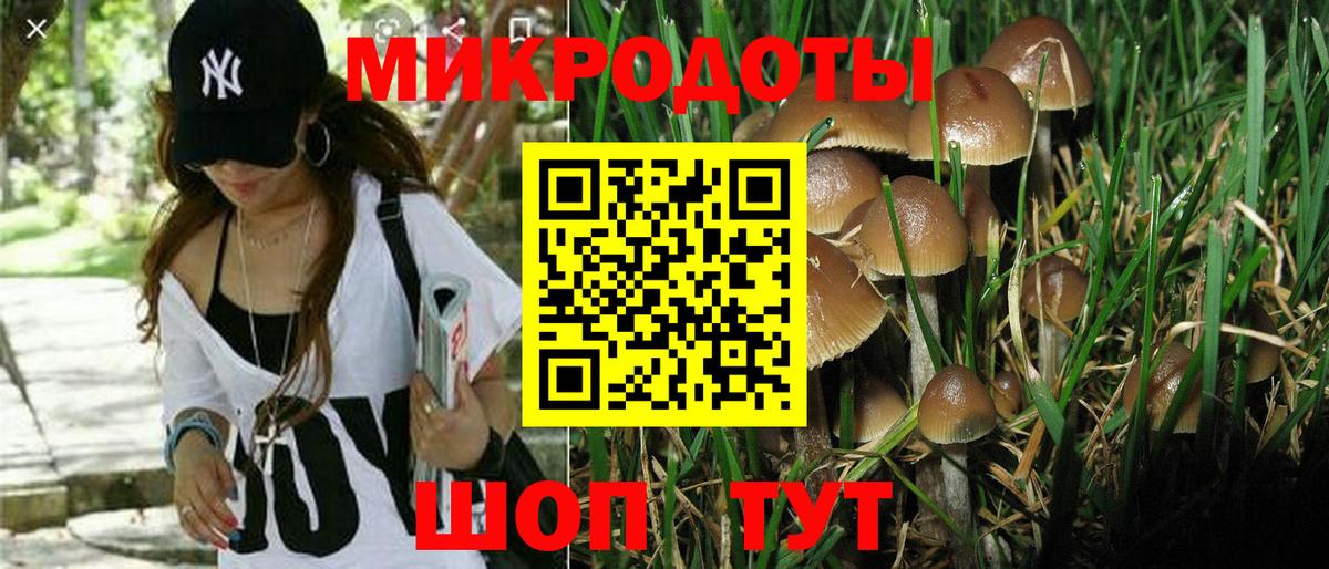 Карасук  Псилоцибиновые грибы MAGIC MUSHROOMS  Вход с VPN  Галлюциногенные грибы прущие грибы 