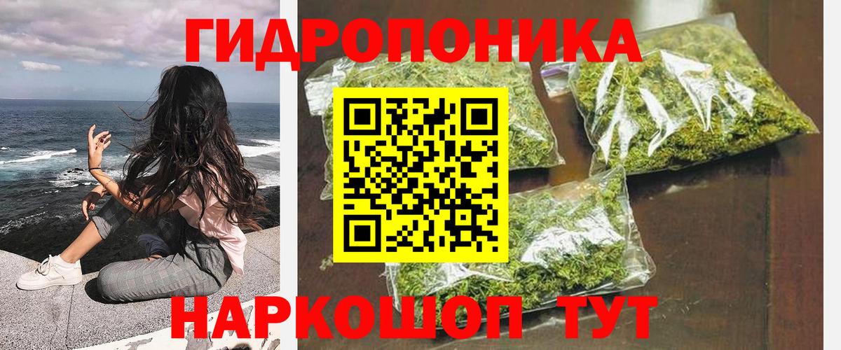 Конопля планчик  Вход с VPN  Бошки марихуана марихуана  Карасук  Шишки марихуана план 